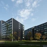 Hildebrandpad 719