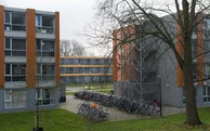 Dennenrodepad 823